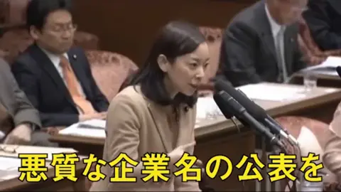 国会質問 2015年2月6日 決算委員会 悪質な企業名公表を求め、実現に繋がる